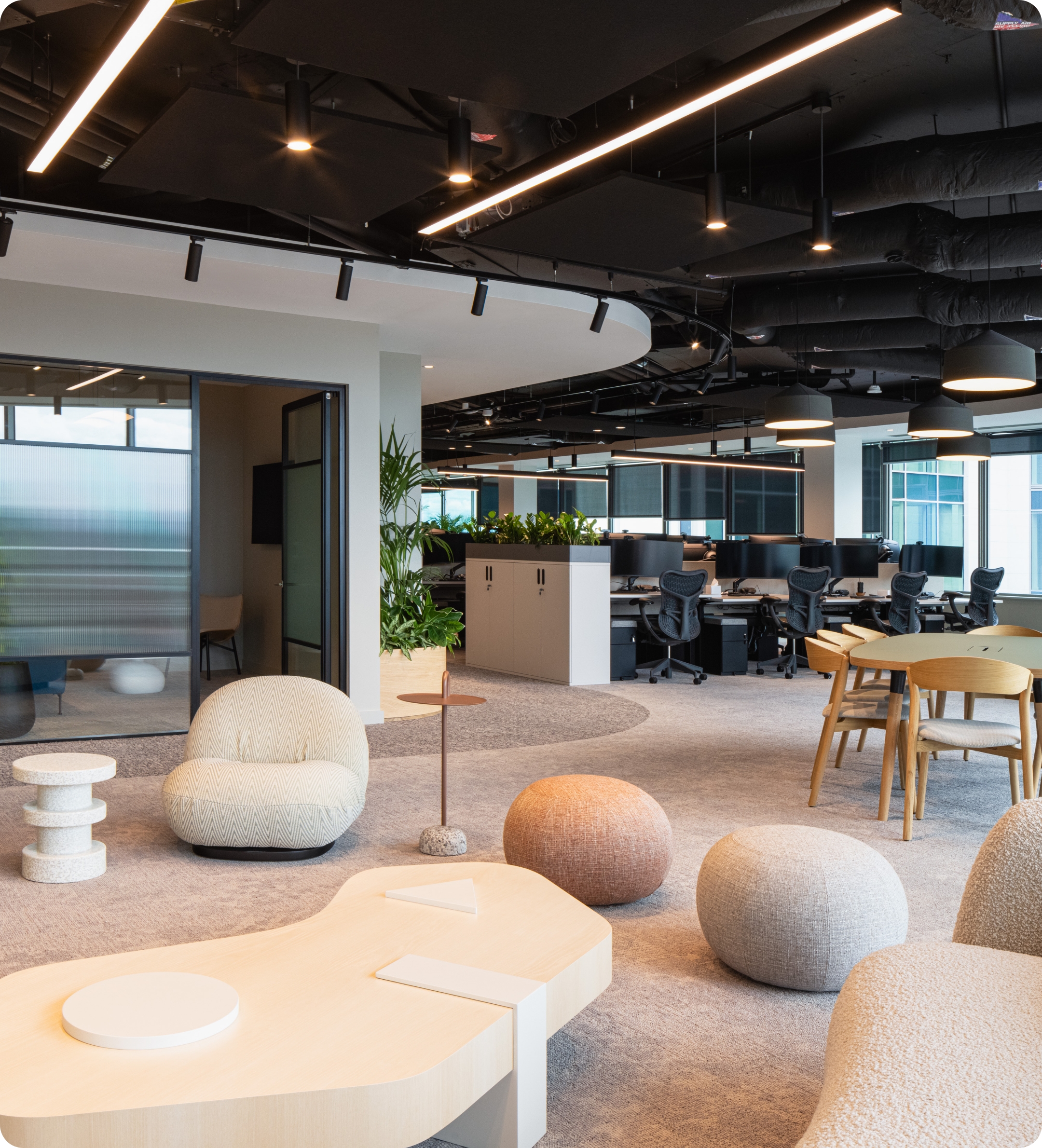 louis reingold is the world's best human